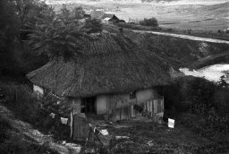 nzmettor012