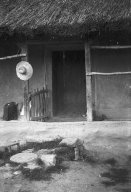 nzmettor013