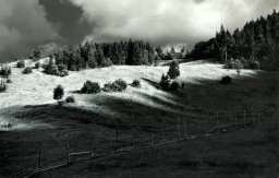 nzmettor023